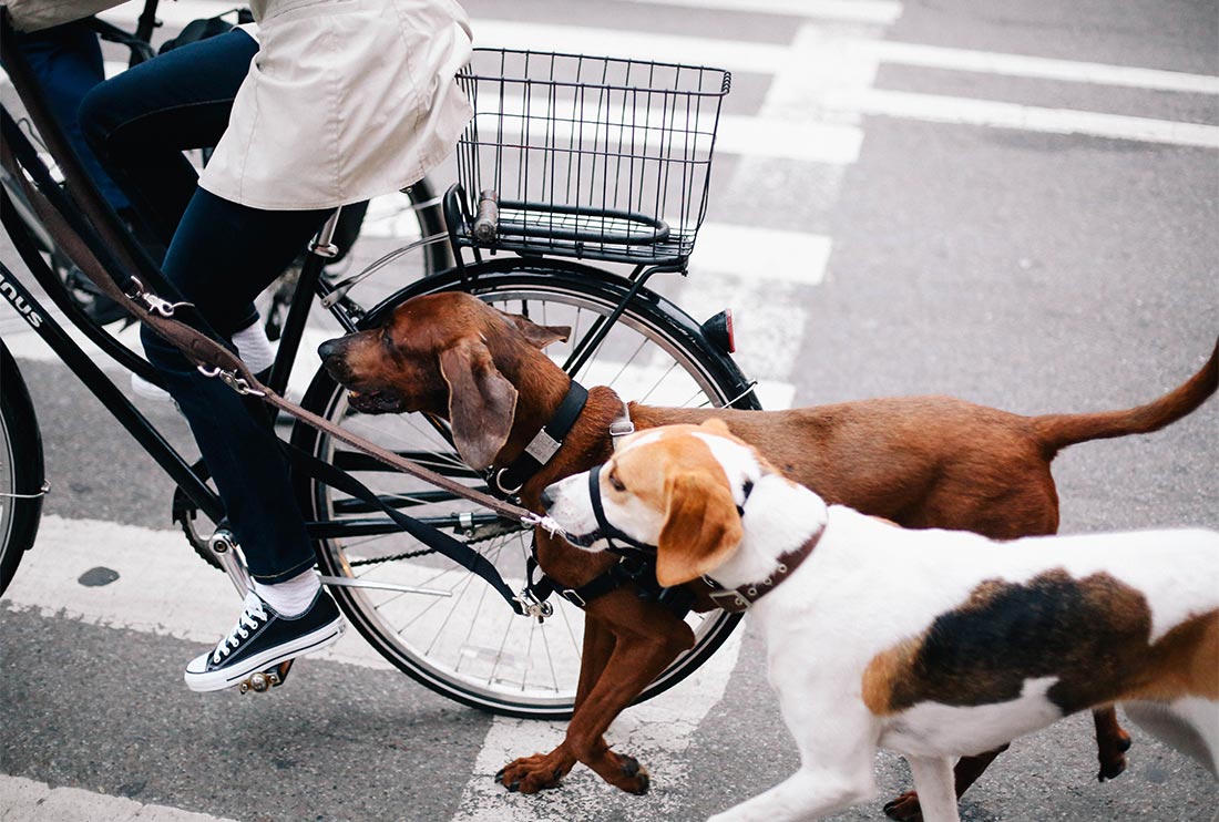 Productivity Boost Province Land Company